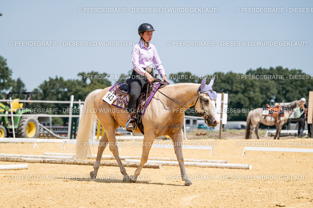 DSC01189 | Pferdegrafie