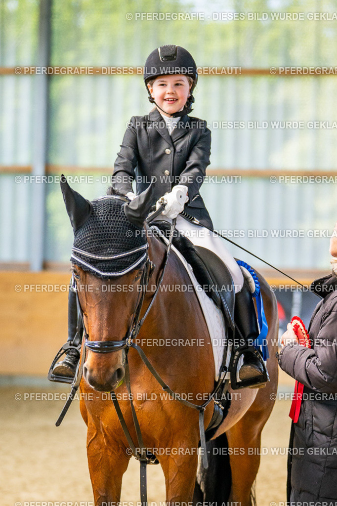 DSC02743 | Pferdegrafie