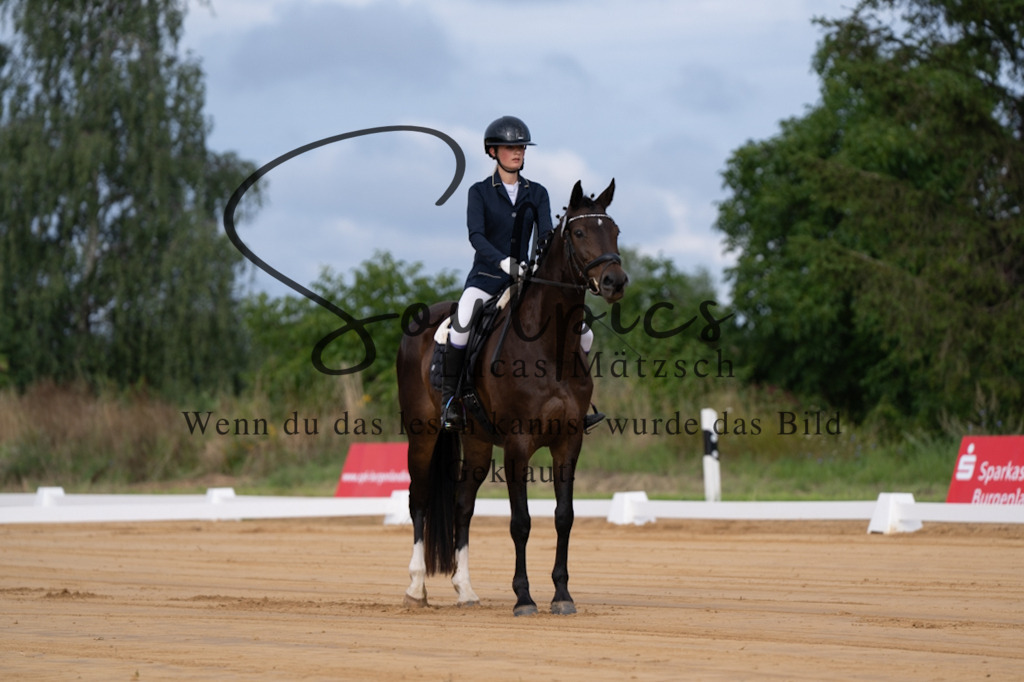 A7V05067 | Pferdefotograf