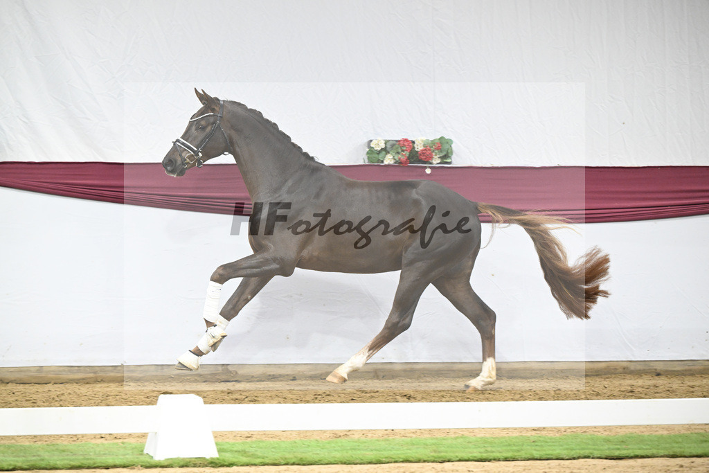 Kat-Nr. 126 Va Bene x Fuerst Jazz_Johannes Gaab_47254185 | hf-fotografie - Realisiert mit Pictrs.com