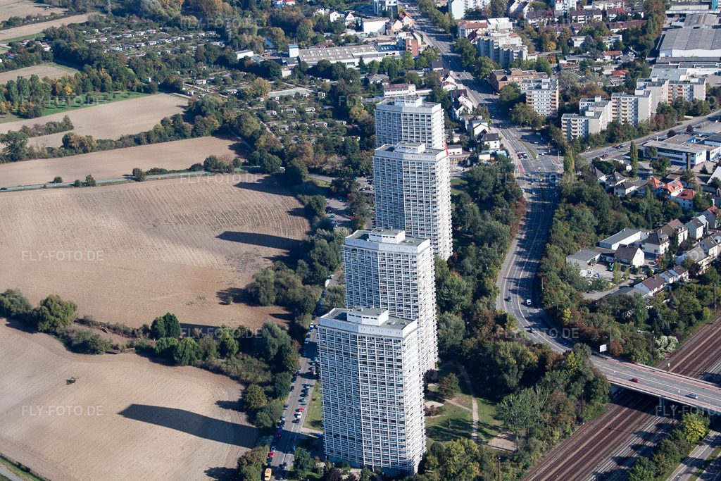 Luftbild: LU-Oggersheim, An der Froschlache im Ortsteil Friesenheim in Ludwigshafen im Bundesland Rheinland-Pfalz in Deutschland. Foto: IMG_21849.jpg vom 09.10.2009 durch Werner Riehm/FLY-FOTO.de
