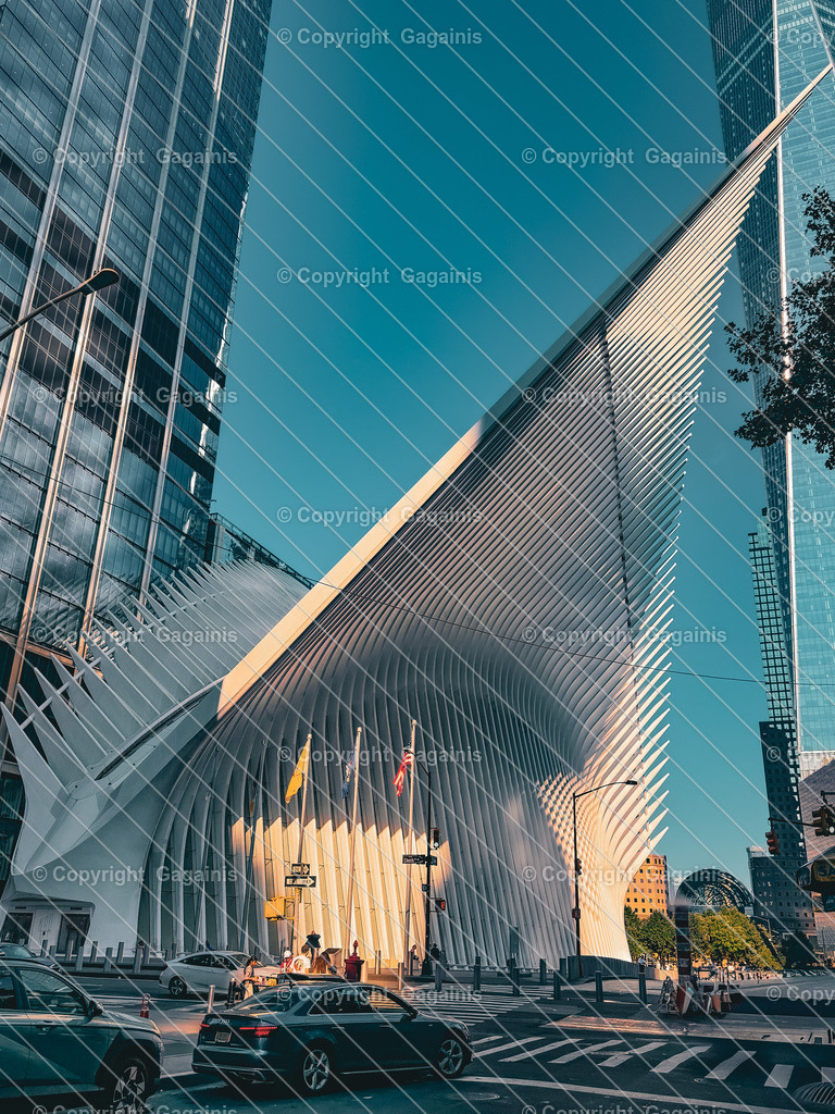 New York City Skyline Fotografie | NYC Wandkunst | Digitaler Download | Empire State Building Poster | Stadtbild Kunst | Urban Print | Bringe den einzigartigen Charme von New York in dein Zuhause! Diese digitale Fotografie zeigt die beeindruckende Skyline der Stadt mit dem Empire State Building. Perfekt als stilvolle Wanddekoration für moderne Wohnräume, Büros oder als Geschenk für NYC-Liebhaber.