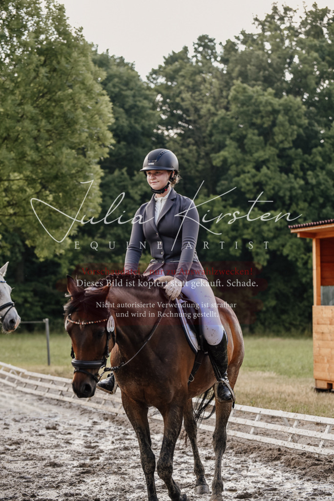 DSC_8406 | Pferde- und Turnierfotografie in Westsachsen. Pferdeportraits, Auftragszeichnungen und intuitive Kunst.