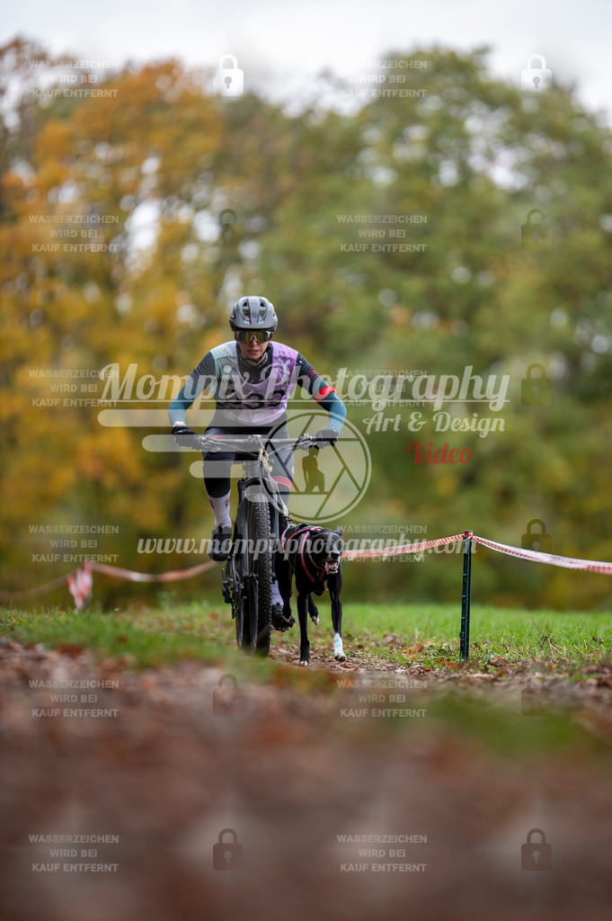 DBT_DAKM_SA_4_11_2023_Bike-14 | PayLife