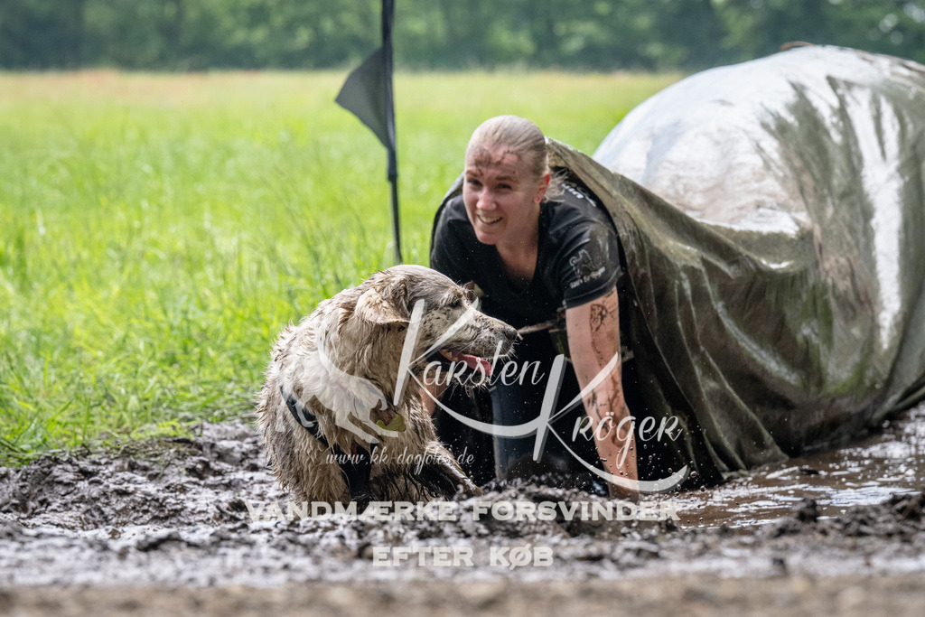 1115_ZZ92123 | kk-dogfotos