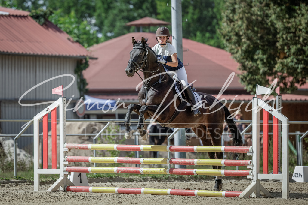 20250906-_3LI6269 | Tierfotografie Pferde, Hunde, Katzen, Haustiere.
Turnierfotografie Reitturniere, Reiten, Springreiten, Dressur in Hanau, dem Main-Kinzig-Kreis und dem Rhein-Main- Gebiet um Frankfurt