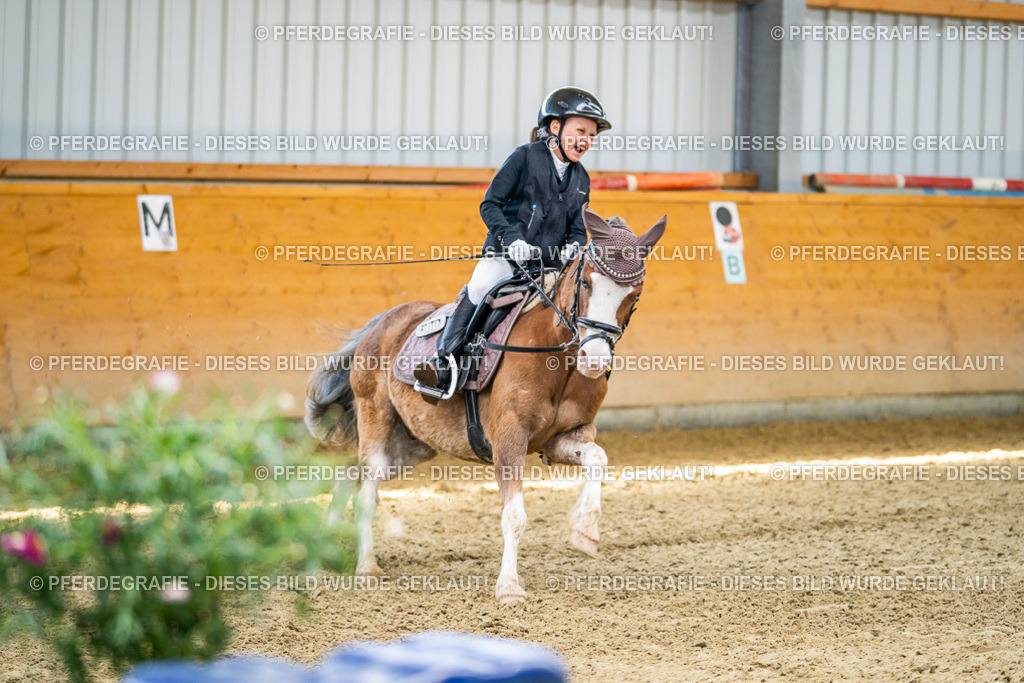 DSC03013 | Pferdegrafie