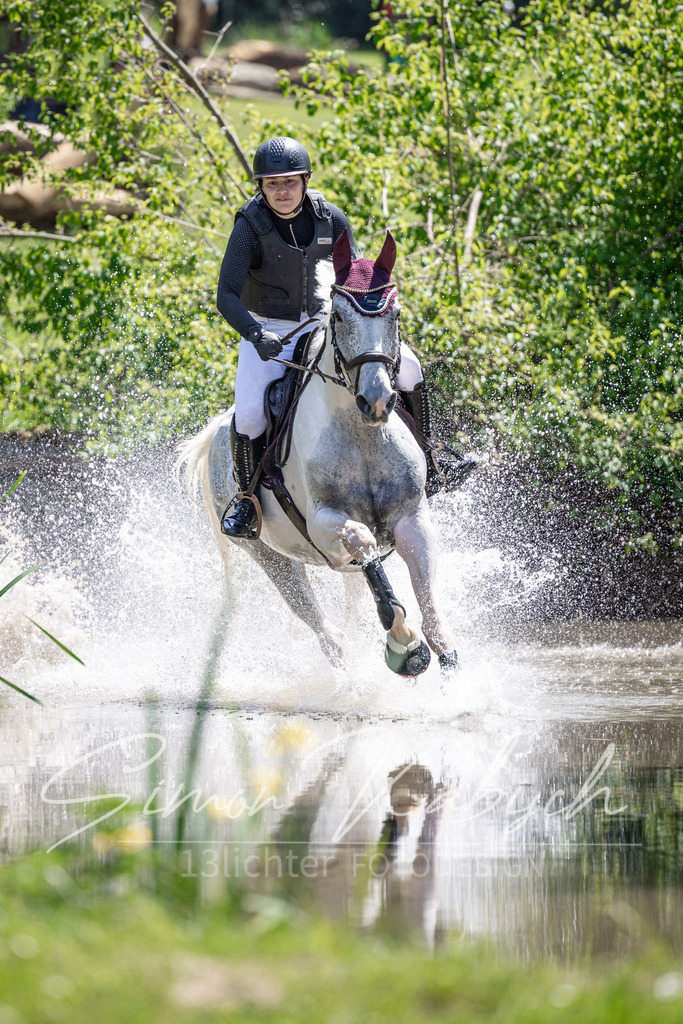 20260523-_3LI8805 | Tierfotografie Pferde, Hunde, Katzen, Haustiere.
Turnierfotografie Reitturniere, Reiten, Springreiten, Dressur in Hanau, dem Main-Kinzig-Kreis und dem Rhein-Main- Gebiet um Frankfurt