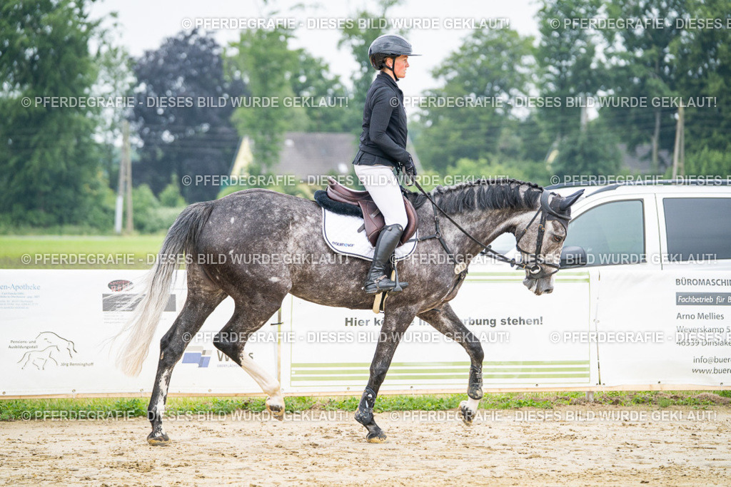 DSC00248 | Pferdegrafie