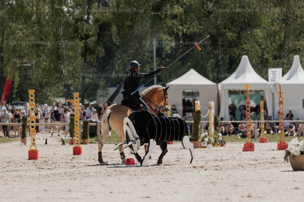 WE_SP_Stoib_308_PI2025_1622 | Pferd International München 2025