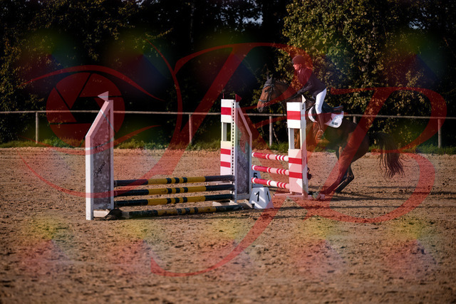 2026_10_03_Siefer-Hof_161048_Z81_90443110 | Professionelle Reitsport-, Turnier- und Eventfotografie von Robert Broda. Galerien mit ausgewählten und bearbeiteten Bildern direkt online ansehen und bestellen.