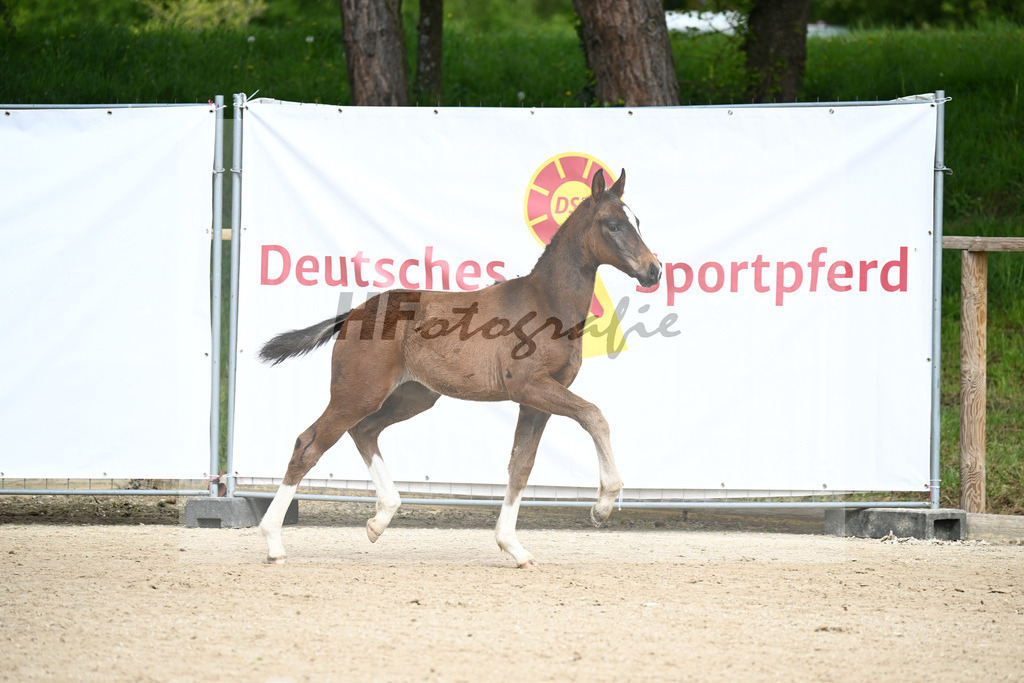 Elastic x Le Vivaldi_SF_Wimmer_11240066 | hf-fotografie - Realisiert mit Pictrs.com