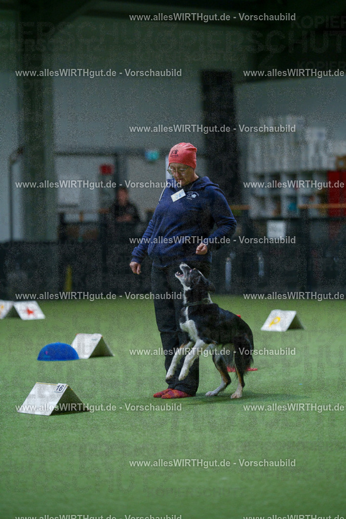 7R502740 | Professionelle Tierfotografie in Mönchengladbach von Daniel Wirth (allesWIRTHgut). Liebevolle & natürliche Bilder von Hunden & Katzen für unvergessliche Erinnerungen.