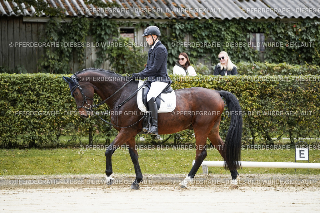 DSC04303 | Pferdegrafie