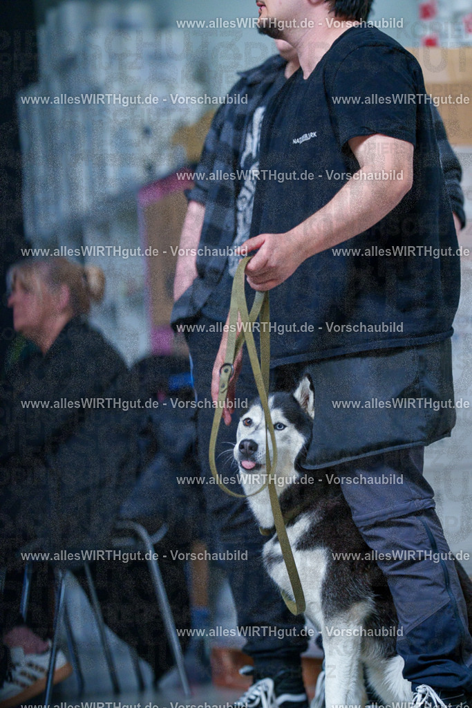 @allesWIRTHgut_Tierfotografie - www.allesWIRTHgut.de - 2604251356-7R504387 | Professionelle Tierfotografie in Mönchengladbach von Daniel Wirth (allesWIRTHgut). Liebevolle & natürliche Bilder von Hunden & Katzen für unvergessliche Erinnerungen.