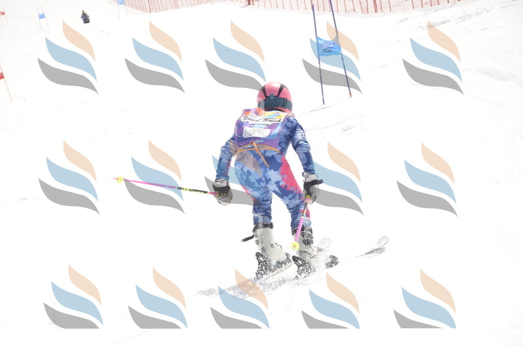 _ELE9429 | holidayphoto