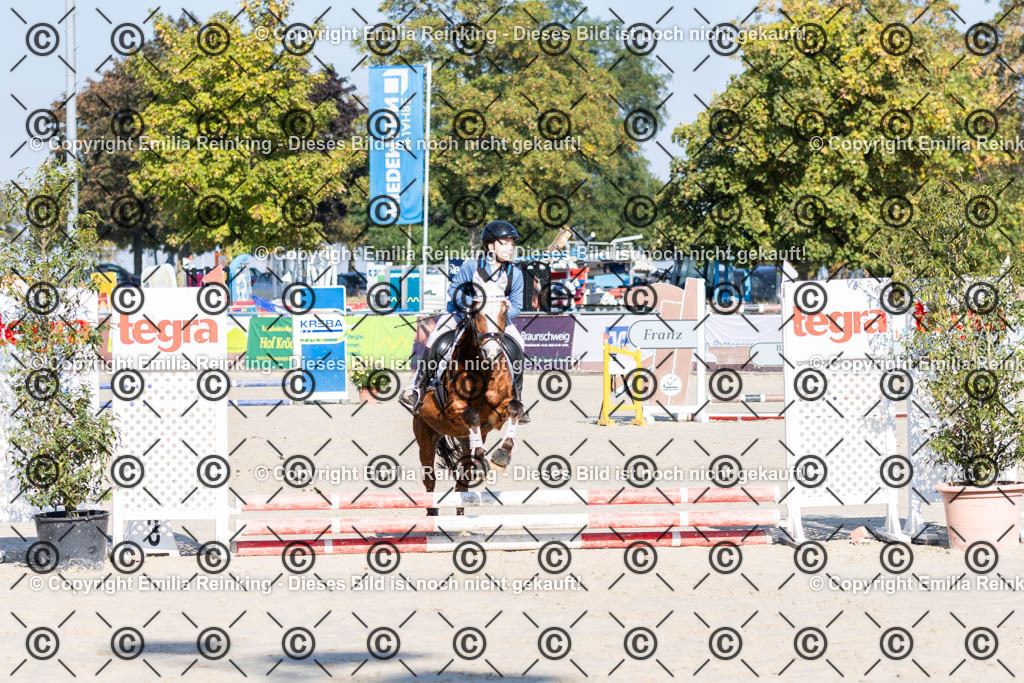 CL5A0133 | Emilia Reinking Fotografie - Realisiert mit Pictrs.com