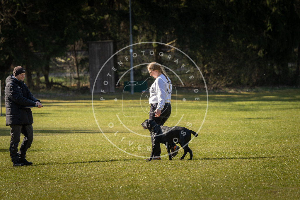 Pfotenfotografie_DV3A0261 | Hundefotografie, Tierfotograf, Pfotenfotografie, Fotoshooting Hund, Hunde Portrait, Hundesport, Hundeportraits, Heideshooting, Hunde, Sportfotograf, Hundefotograf, Turnierhundsport, THS,  - Realisiert mit Pictrs.com