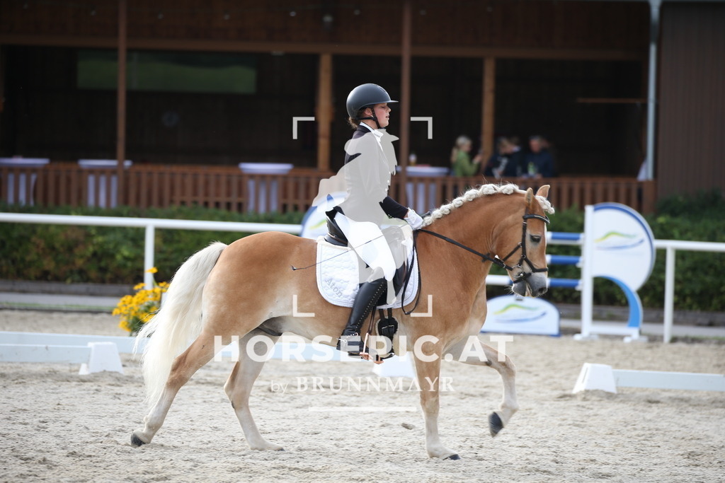 DL2Q5085 | Willkommen bei Brunnmayr - Design & Fotografie – Ihrem Spezialisten für Reitturniere und Pferdeveranstaltungen in Oberösterreich, Salzburg und Bayern! Seit über 17 Jahren sind wir leidenschaftlich dabei.