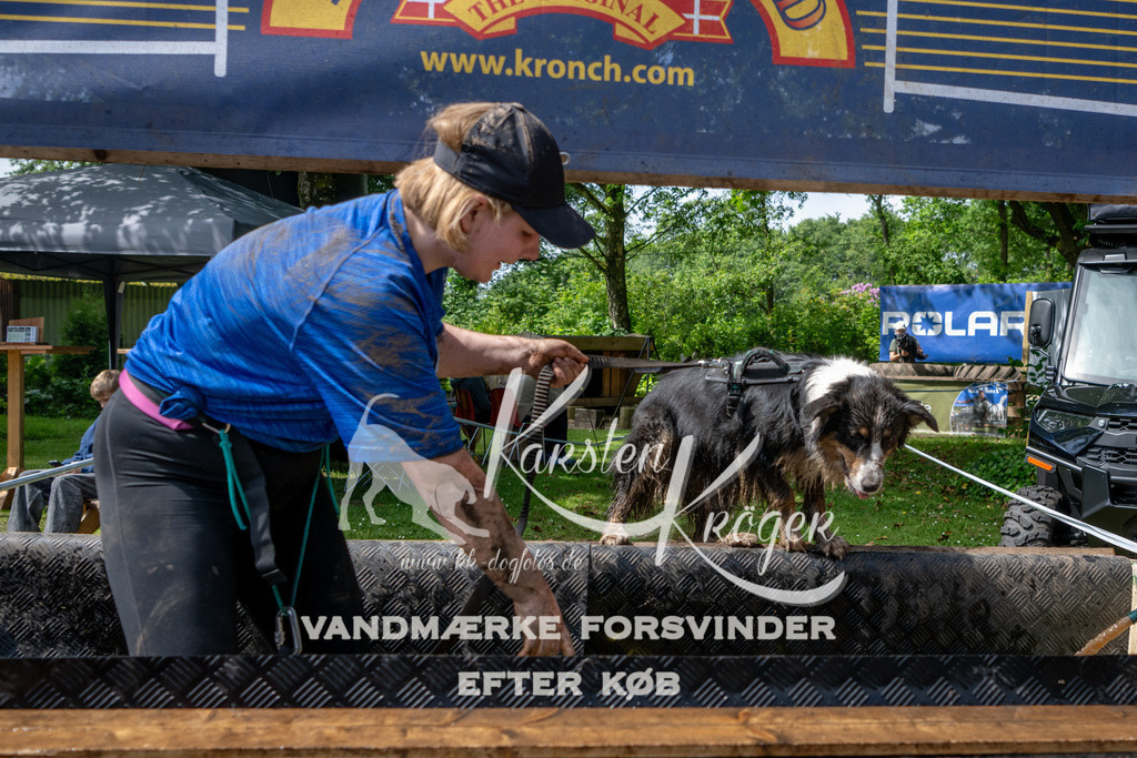 1103_ZZ92627 | kk-dogfotos
