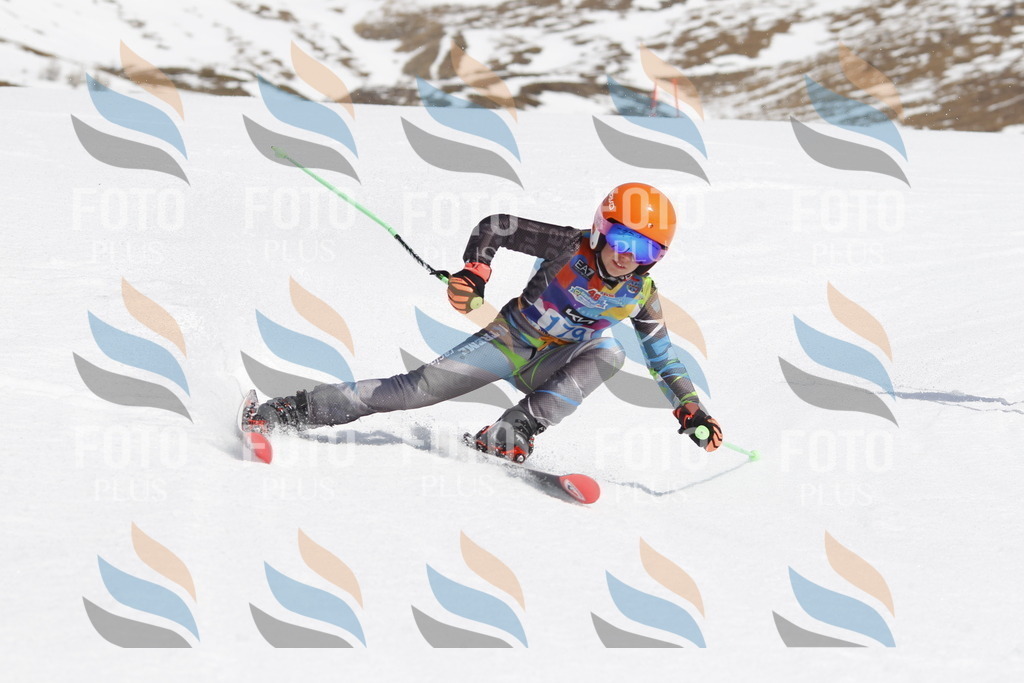 _U3G1709 | holidayphoto