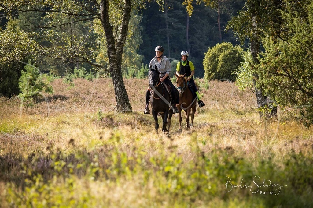DdLH-WehlenerHeide_2025-09-20_95 | Fotografie, Veranstaltungs-Fotografie, Pferde-Fotografie, Landschafts-Fotografie, Reise-Fotografie - Realisiert mit Pictrs.com