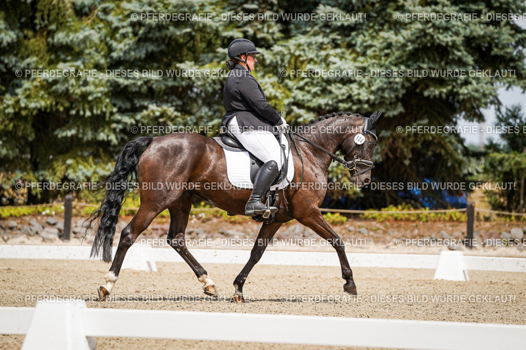 DSC02649 | Pferdegrafie