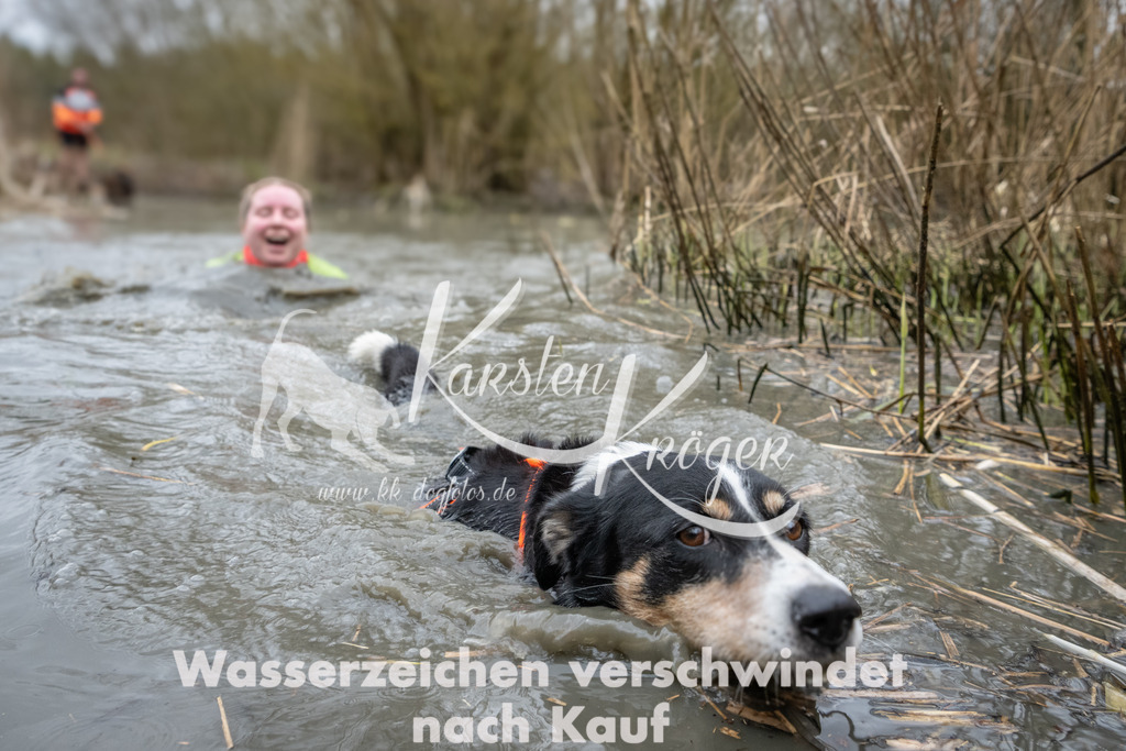 1113_ZZ97515 | kk-dogfotos