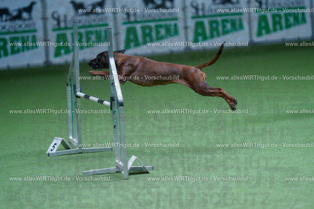 @allesWIRTHgut_Tierfotografie - www.allesWIRTHgut.de - 2604251236-7R502200 | Professionelle Tierfotografie in Mönchengladbach von Daniel Wirth (allesWIRTHgut). Liebevolle & natürliche Bilder von Hunden & Katzen für unvergessliche Erinnerungen.