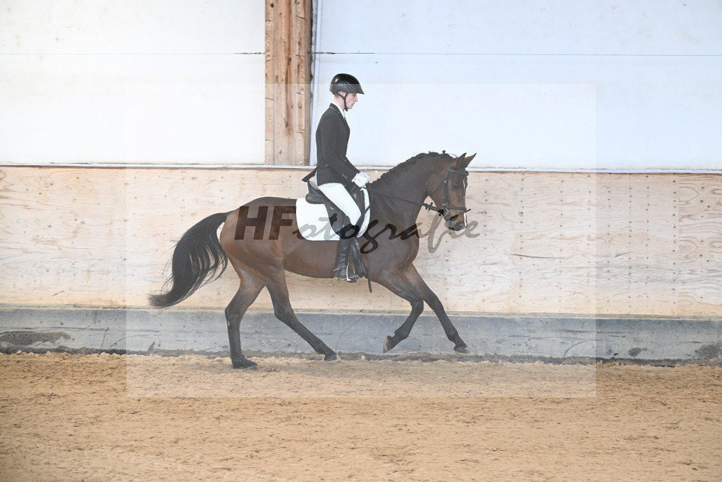 Kat-Nr. 4 Lisl-P v. Fail Deal_Purucker_50250141 | hf-fotografie - Realisiert mit Pictrs.com