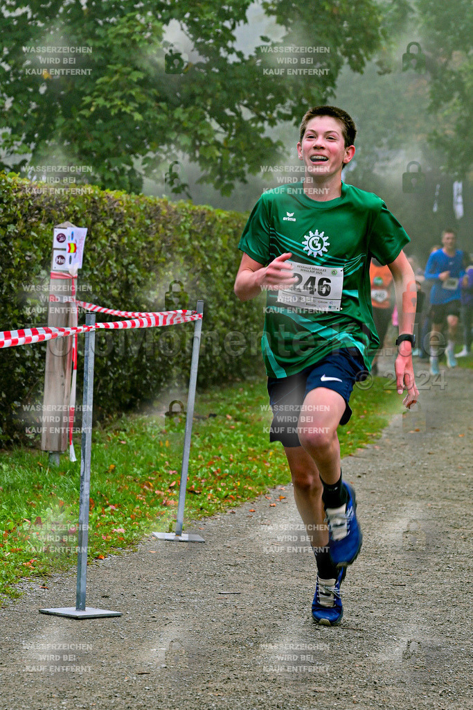 Z8N_1574 | la-psv - Realisiert mit Pictrs.com