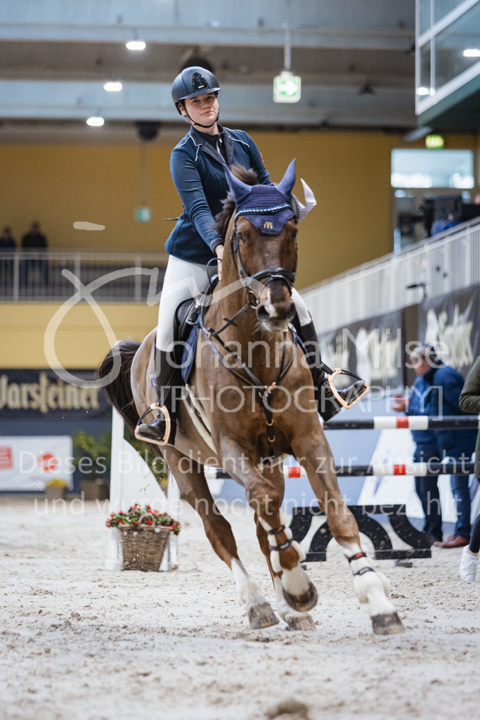 221112_Warstein_L-Spr-285 | Deine schönsten Turniermomente als professionelle Fotos! Entdecke hochwertige Pferdesport-Fotografie im Online-Shop. Jetzt Fotos finden & bestellen!