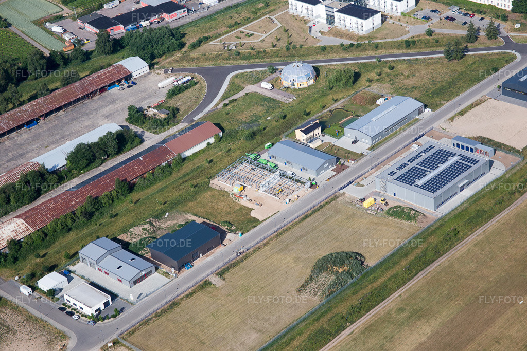 Luftbild: Atec Auto-Technik im Ortsteil Speyerdorf in Neustadt im Bundesland Rheinland-Pfalz in Deutschland. Foto: IMG_080954.jpg vom 14.06.2015 durch Werner Riehm/FLY-FOTO.de