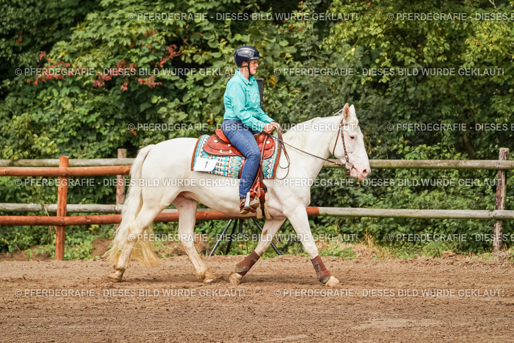 DSC06907 | Pferdegrafie