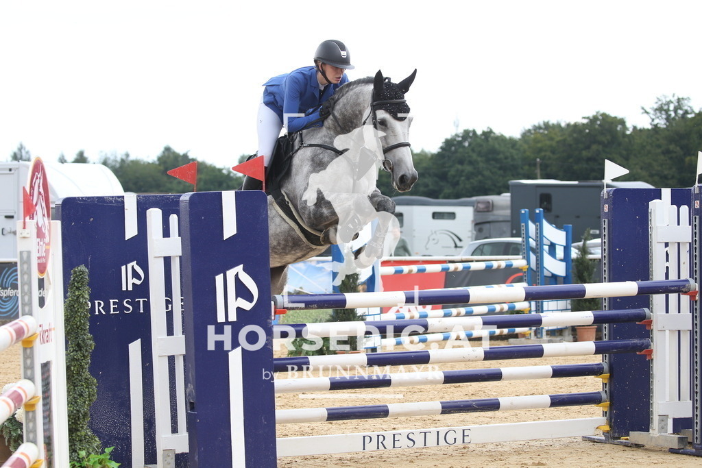 DL2Q2042 | Willkommen bei Brunnmayr - Design & Fotografie – Ihrem Spezialisten für Reitturniere und Pferdeveranstaltungen in Oberösterreich, Salzburg und Bayern! Seit über 17 Jahren sind wir leidenschaftlich dabei.