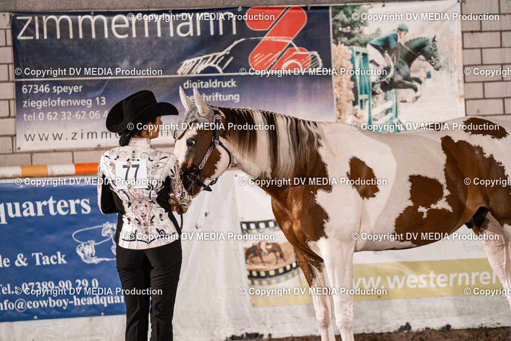 ZH200058 | dv-media-shop - Realisiert mit Pictrs.com