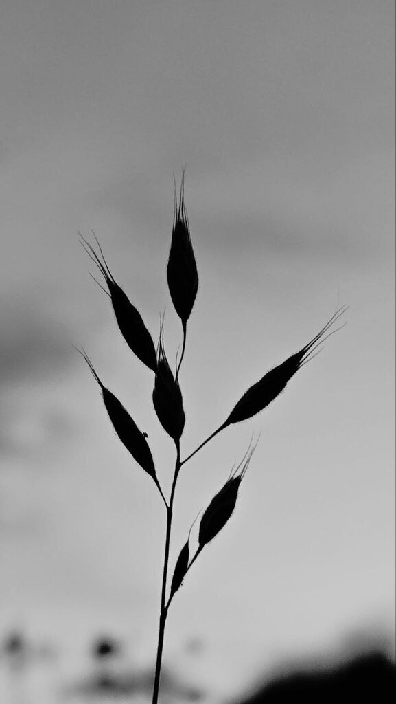5805601002059665558_121 | mtkfoto_ - Realisiert mit Pictrs.com
