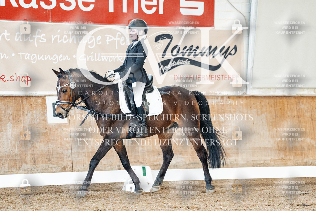 CK900029 | Turnierfotografie Pferdefotografie Trier Rheinland-Pfalz Pferdesport Reitsport Tierfotografie Sportfotografie Pferdevideo Pferdevideografie Equestrianvideography equestrianphotography  - Realized with Pictrs.com