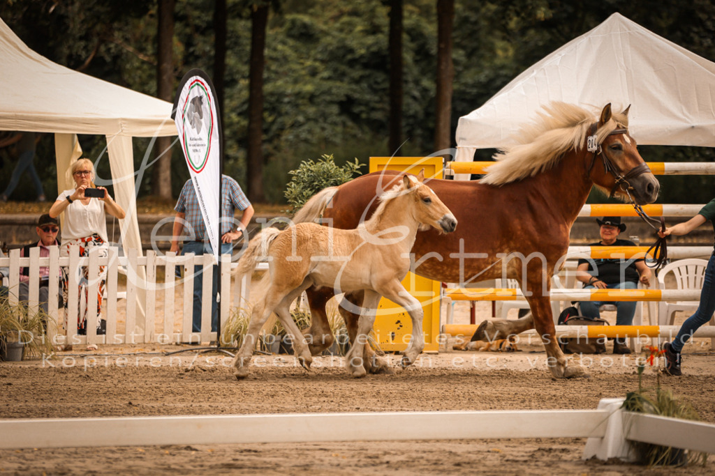SaSF00016 | Leoni Ertmer Photography - Realisiert mit Pictrs.com