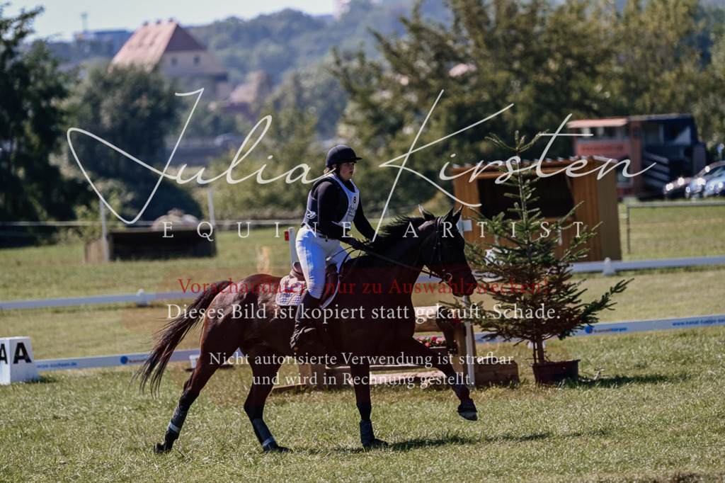 DSC_1616 | Pferde- und Turnierfotografie in Westsachsen. Pferdeportraits, Auftragszeichnungen und intuitive Kunst.