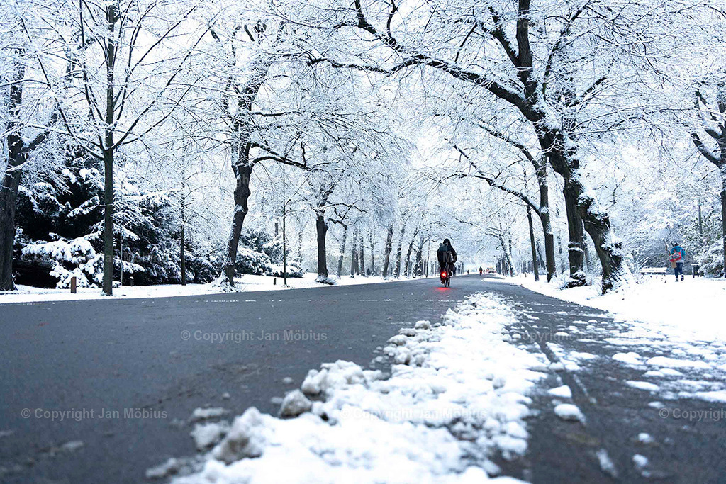 Clara Park | Der Clara-Zetkin-Park in Leipzig ist ein beliebter Ort für Natur, Sport und Erholung – perfekt für Spaziergänge, Jogging und entspannte Stunden im Grünen. - Realisiert mit Pictrs.com