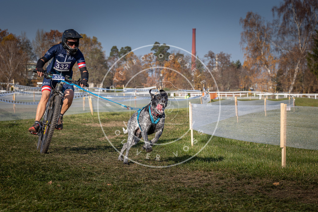CaniXpix_0L8A7411 | Hundefotografie, Tierfotograf, Pfotenfotografie, Fotoshooting Hund, Hunde Portrait, Hundesport, Hundeportraits, Heideshooting, Hunde, Sportfotograf, Hundefotograf, Turnierhundsport, THS,  - Realisiert mit Pictrs.com