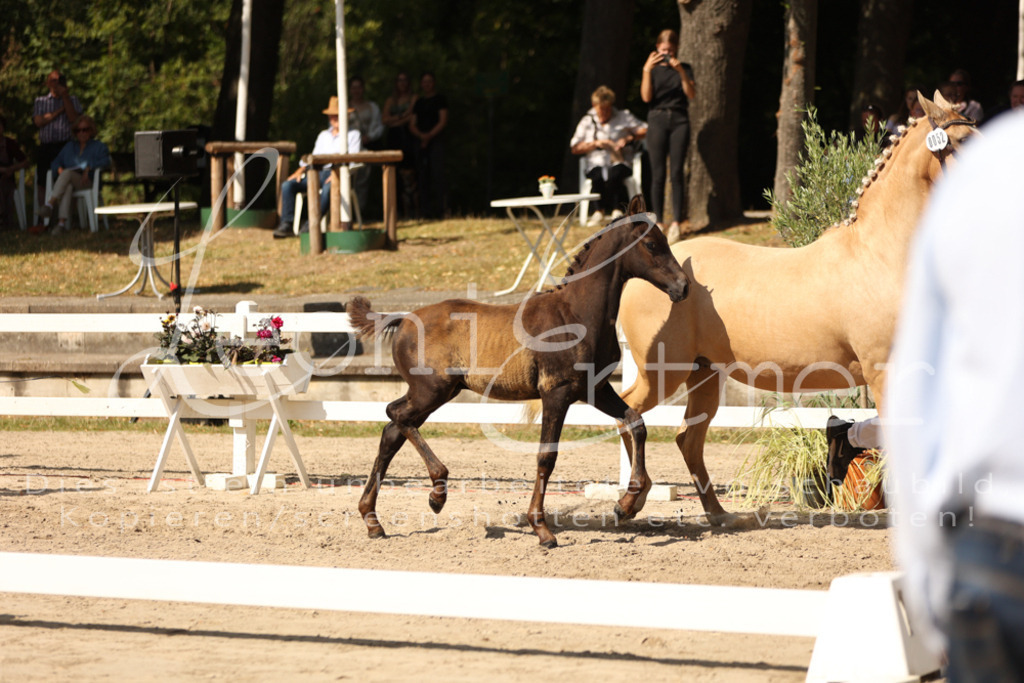 08.DoRPS00046 | Leoni Ertmer Photography - Realisiert mit Pictrs.com