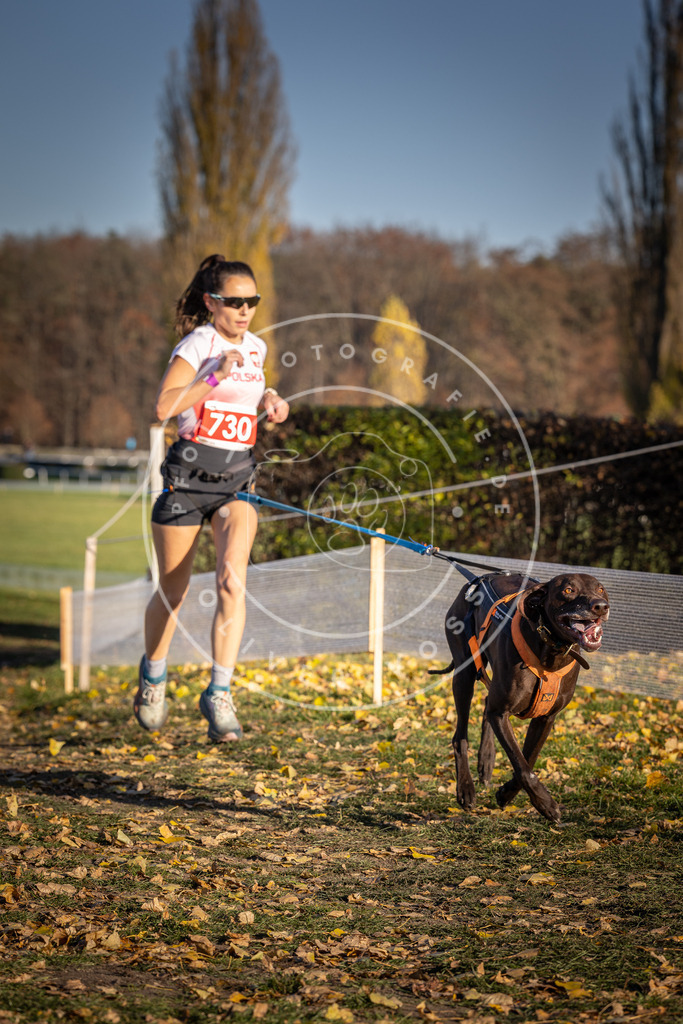 CaniXpix_DV3A2041 | Hundefotografie, Tierfotograf, Pfotenfotografie, Fotoshooting Hund, Hunde Portrait, Hundesport, Hundeportraits, Heideshooting, Hunde, Sportfotograf, Hundefotograf, Turnierhundsport, THS,  - Realisiert mit Pictrs.com