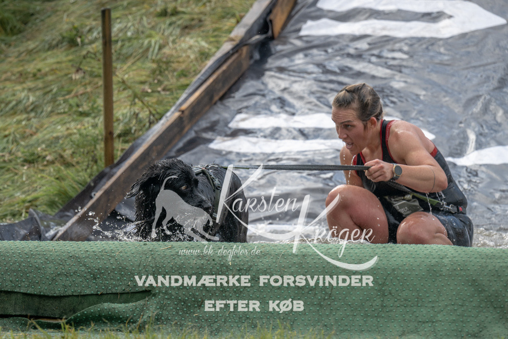 1108_ZZ92587 | kk-dogfotos