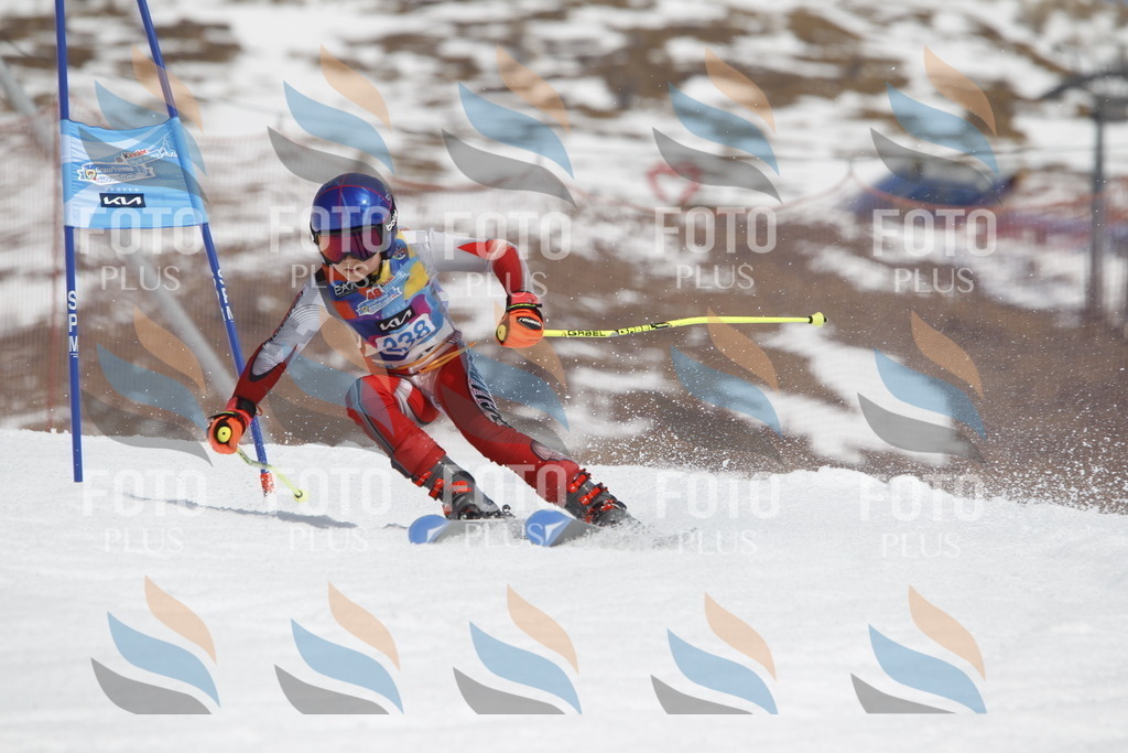 _U3G2645 | holidayphoto