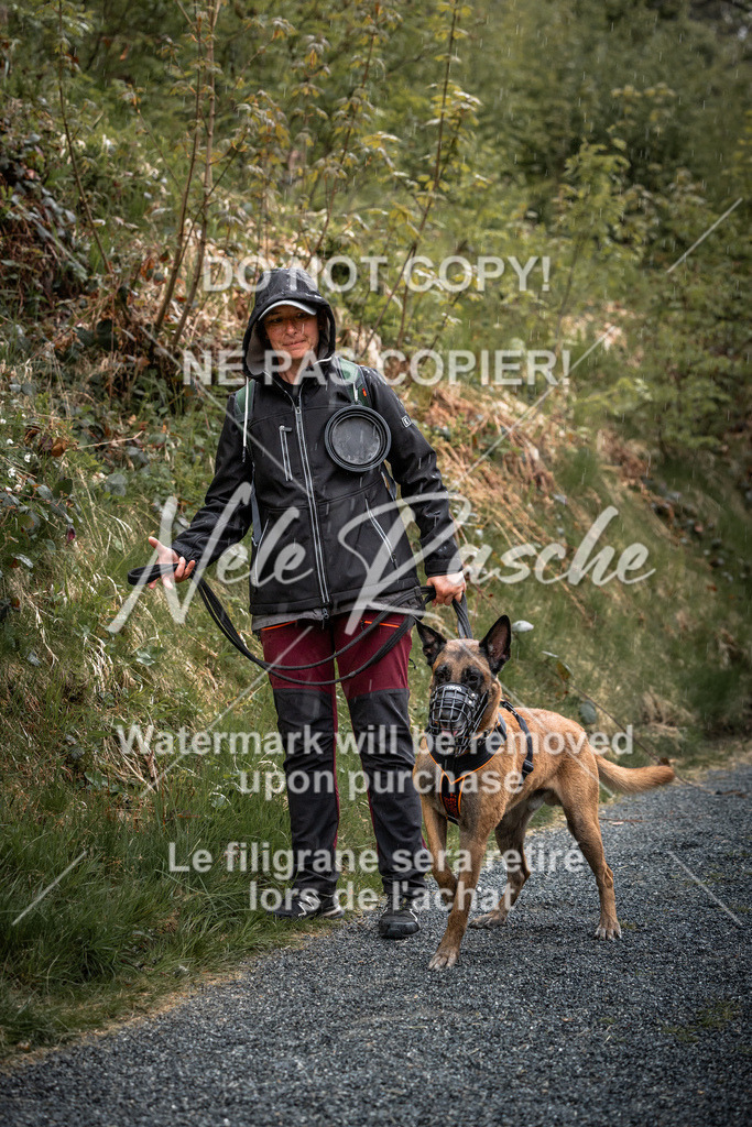 nelerasche_SaAbends_223 | nelerasche - Realisiert mit Pictrs.com