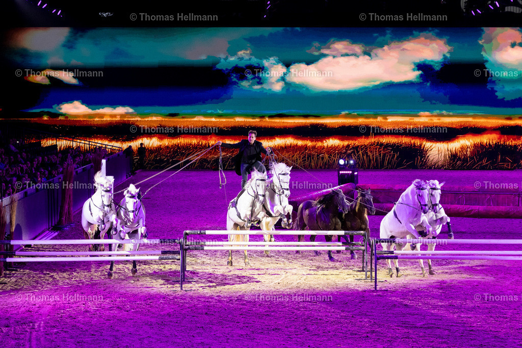 TH_Hop Top_27018 | EQUITANA 2025 am 09.03.25 in Essen