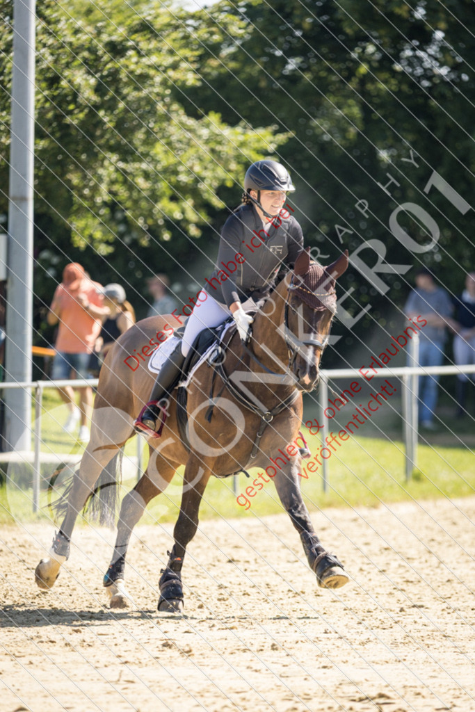 IMG_3309 | Sport-, Event- und Tierfotos in Profiqualität. Einfach auswählen, bestellen und herunterladen. Dein Moment – perfekt festgehalten.