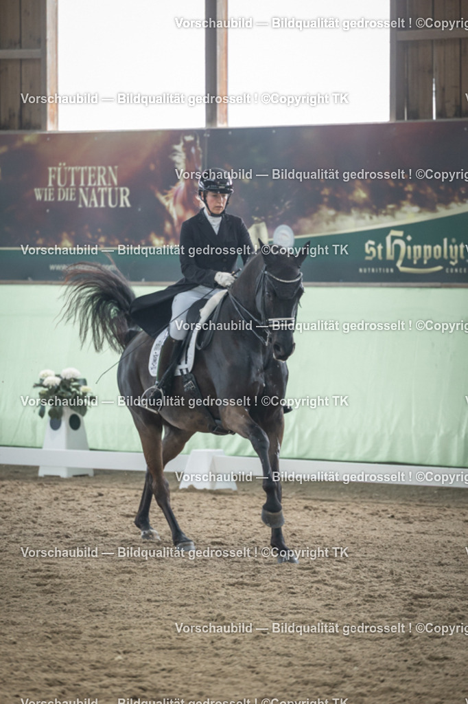 _D5A5386 | Emotionale Pferde- & People-Fotografie rund um Heidelberg, Leimen & Umgebung. Natürliche Fotos von Pferd, Mensch & Familie. Jetzt Termin sichern!